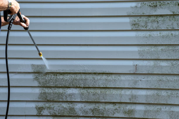 Best Carpet Removal and Disposal  in Sam Rayburn, TX